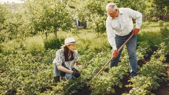 Backyard Gardening - Grow your Own Food, Improve Your Health