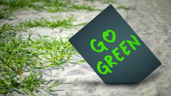 5 Eco-Friendly Products to Help You Go Green