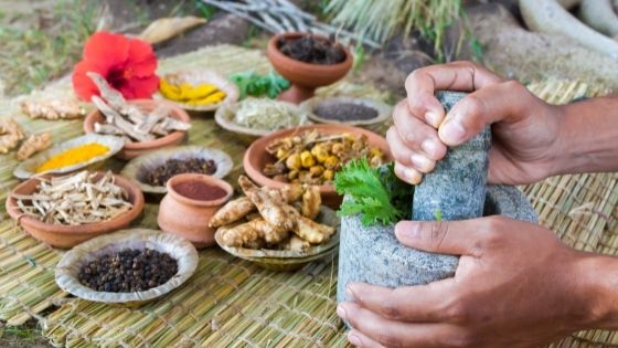 Ayurvedic Herbs - Benefits, Side Effects, Dosage, and Interactions