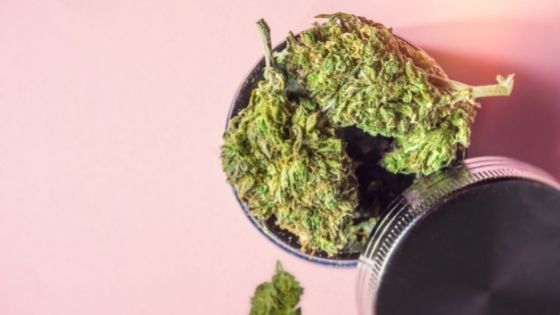 Keep Your Weed Fresh: Ways to Store Weed