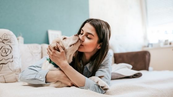 What to Consider Before Getting a Family Pet