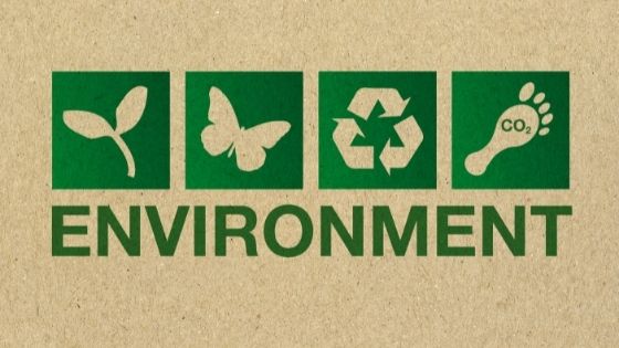 How You Can Be Kinder to the Environment