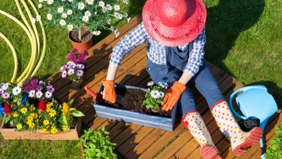 14 Essential Gardening Tips for Homeowners