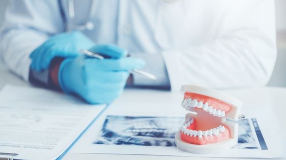 How Often Should You Visit A Dentist At Rolla To Improve Your Dental Health