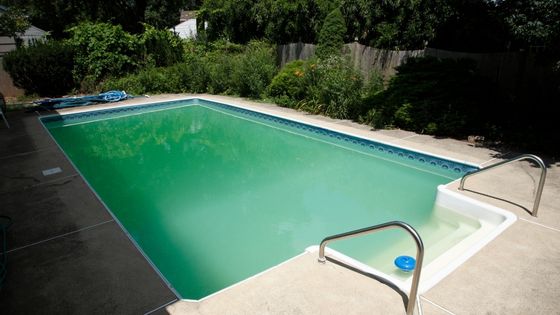 5 Ways to Prevent Your Home's Pool Water from Turning Green