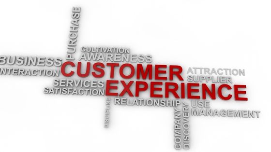 Ways to Ensure a Seamless Customer Experience in Your Biz