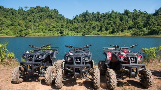 5 Essential Things to Know Before Purchasing an ATV