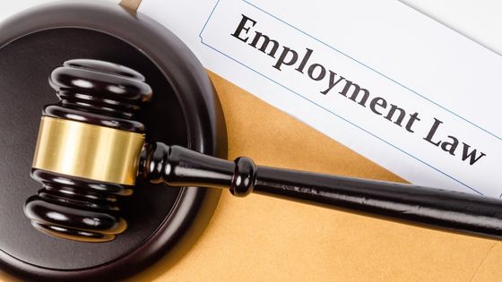 Questions You Must Ask Before Hiring An Employment Lawyer