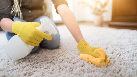 A Complete Coverage of Carpet Cleaning Service