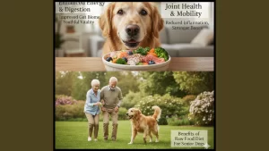 Benefits of Raw Food Diet For Senior Dogs